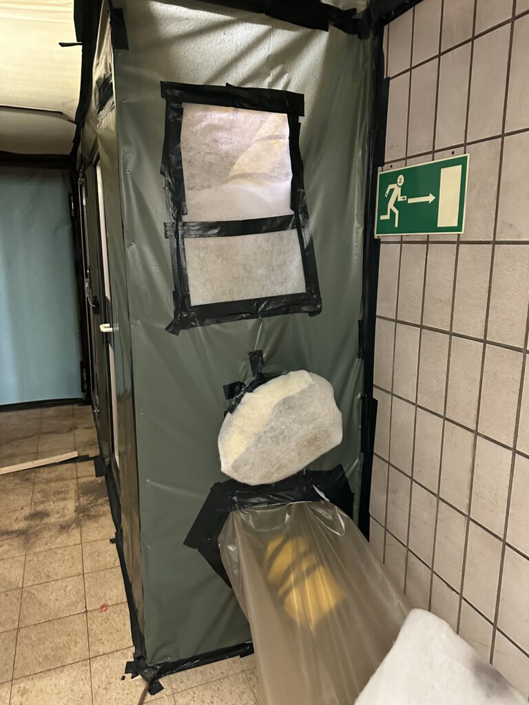 Schadstoffsanierung